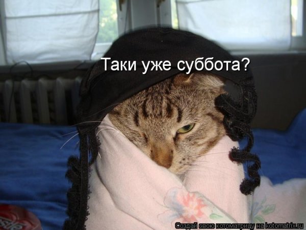Уже суббота