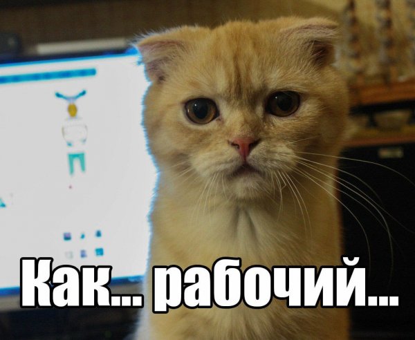 Суббота рабочий день картинки