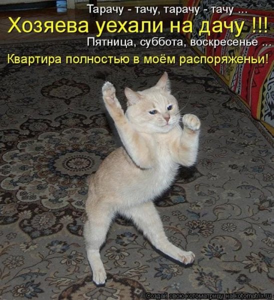 Арам-зам-зам Арам-зам-зам Гули-Гули Гули-Гули