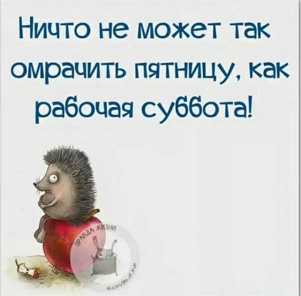 Лучше пятницы только суббота