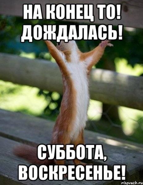 Наконец суббота