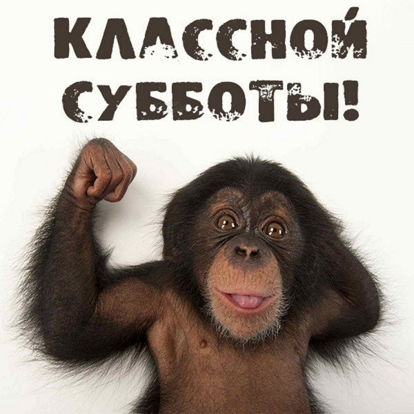 Привет суббота доброе