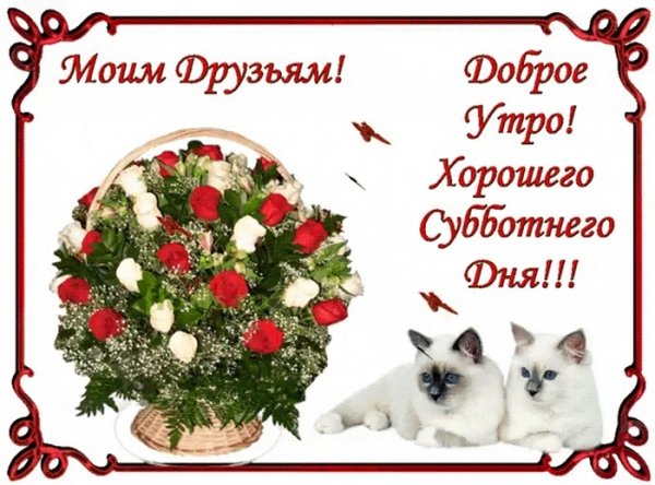 Доброго субботнего утра и хорошего дня