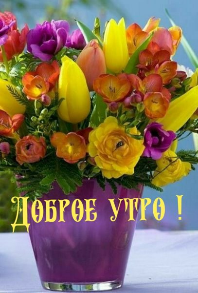 С добрым утром цветы красивые