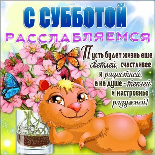 Высказывания про субботу прикольные
