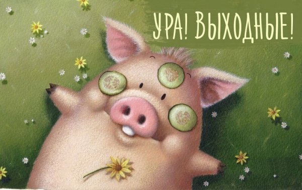 Доброе утро субботы