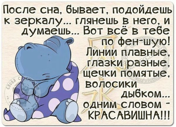 Прекрасного дня Подсолнухи