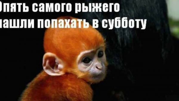 Жаркое лето