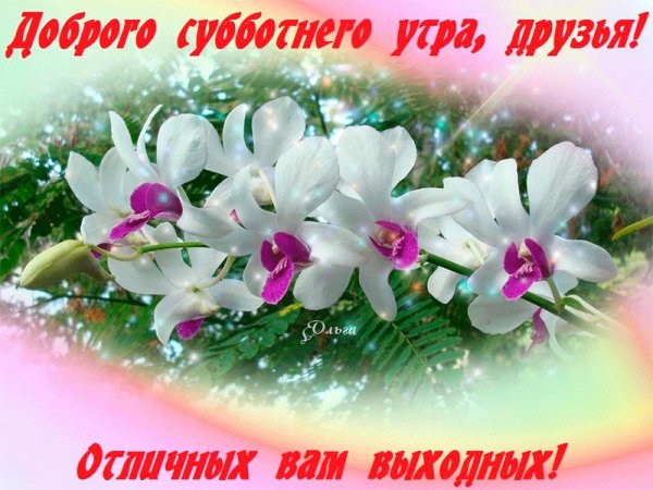 С добрым субботним утром и хороших выходных