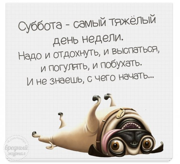 Фразы про субботу