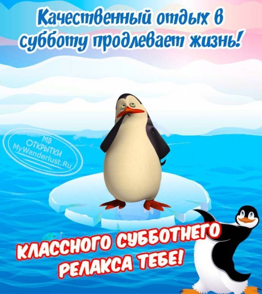 С добрым утром Пингвин