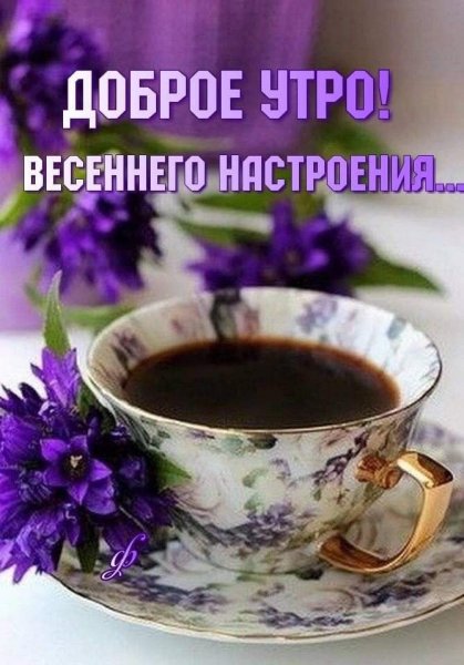 Чашка чая и цветы