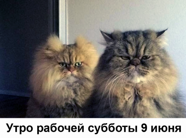 Доброе утро рабочая суббота