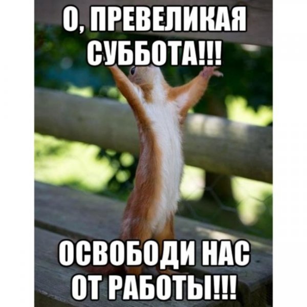 Статусы про субботу прикольные