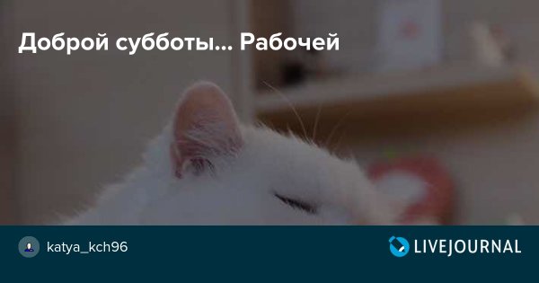 С добрым рабочим субботним утром