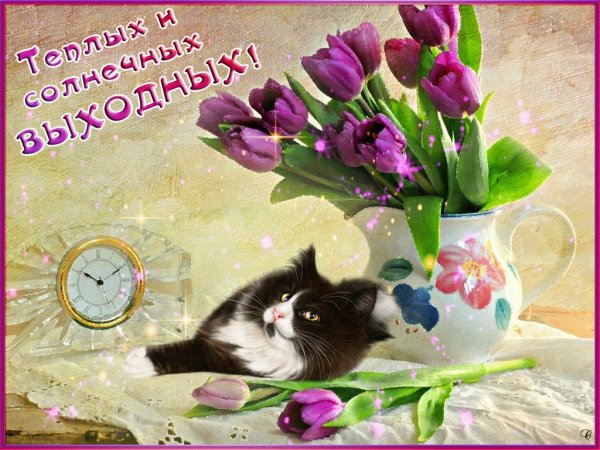 Солнечных выходных и хорошего настроения