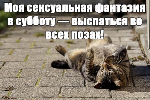 Суббота картинки прикольные
