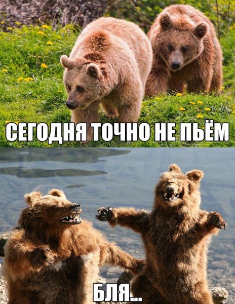 Сегодня точно не пьем