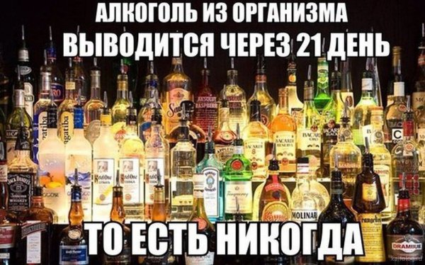 Прикольные алкогольные напитки