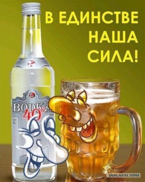 С днем народного единства прикольные
