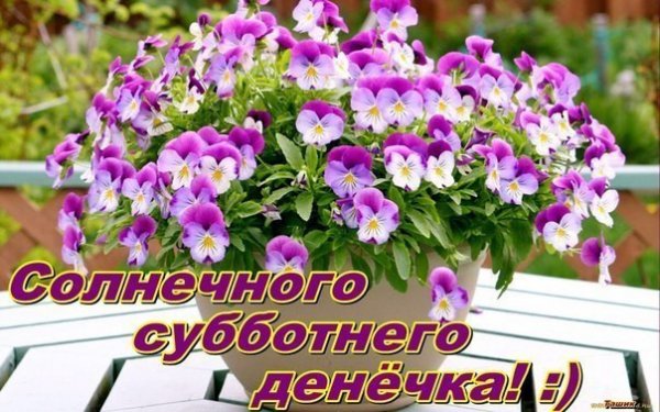 Доброго солнечного субботнего дня