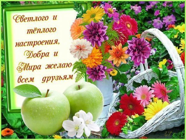 Доброго здоровья и хорошего дня