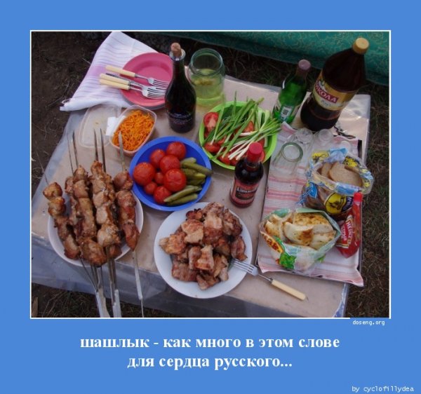 Приколы про шашлыки на природе