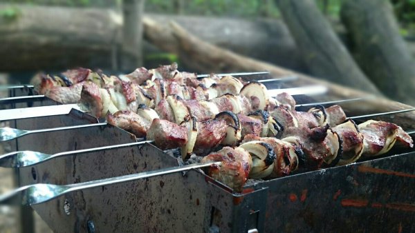 Пикник шашлык
