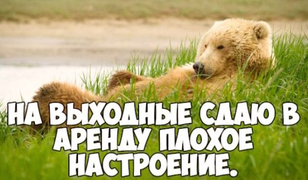 Высказывания про субботу прикольные