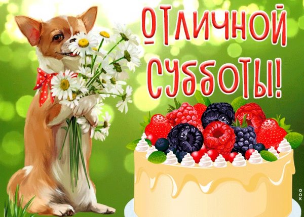 Отличной субботы
