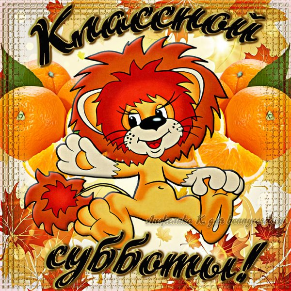 Львенок открытка