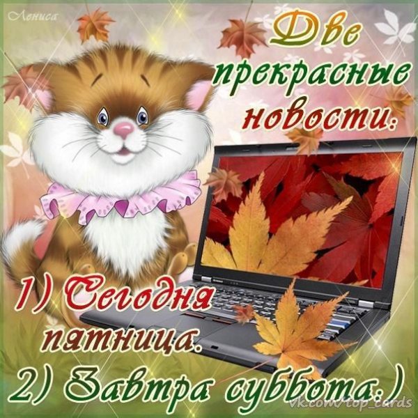 Открытки с добрым утром пятницы