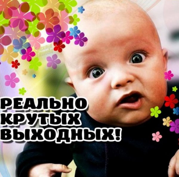 Хорошей субботы кот