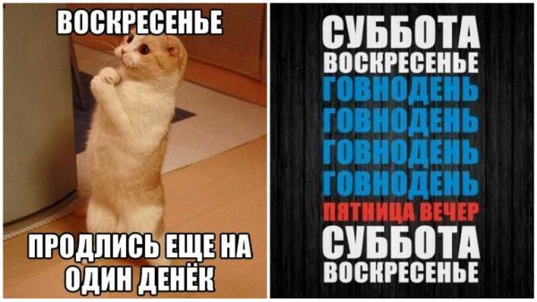 Воскресенье картинки прикольные