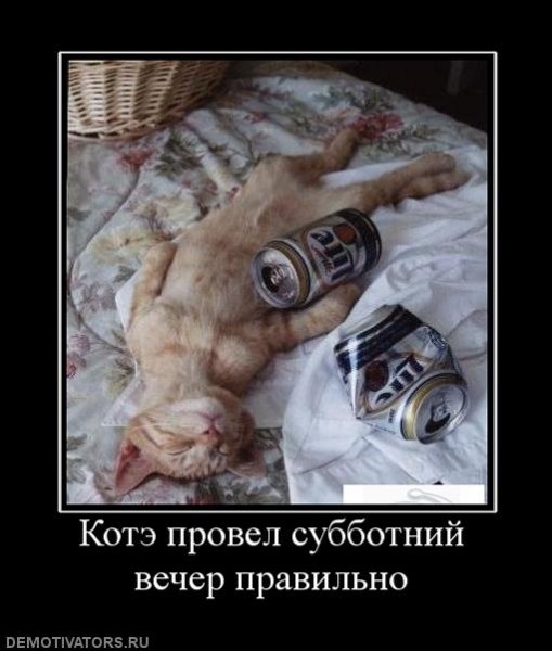 С субботним вечером прикольные