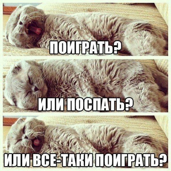 Доброе субботнее утро прикол