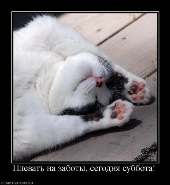 Суббота демотиватор