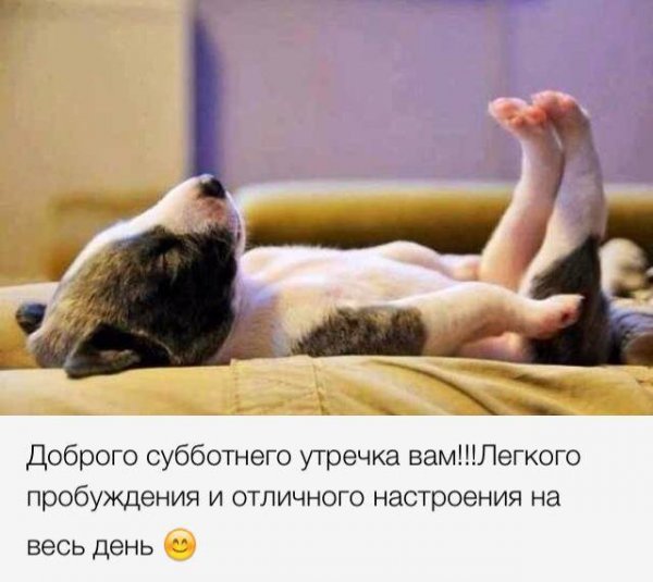 Доброе утро субботы прикольные