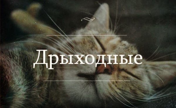 Выходной картинки