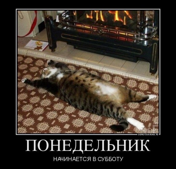 Понедельник демотиваторы смешные