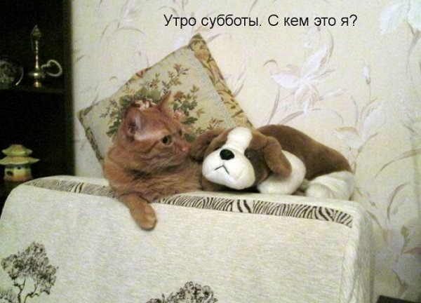 Доброго субботнего утра прикольные