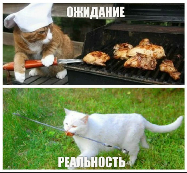 Шутки про шашлык