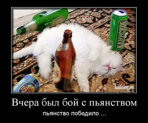 Вчера был бой с пьянством пьянство победило