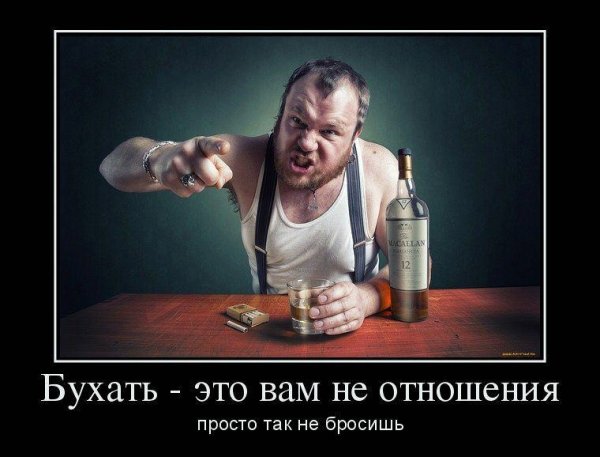 Бухать прикол