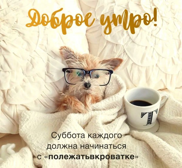 Хорошо отдохнуть в выходные