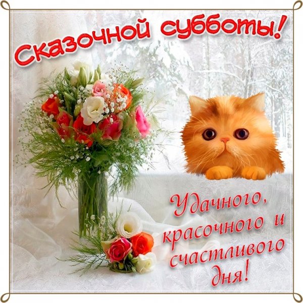 Отличной субботы прикоо