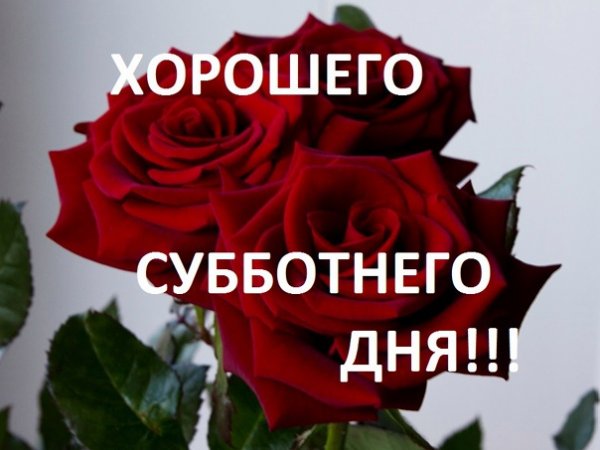 Открытки с хорошим днём прикольные субботы