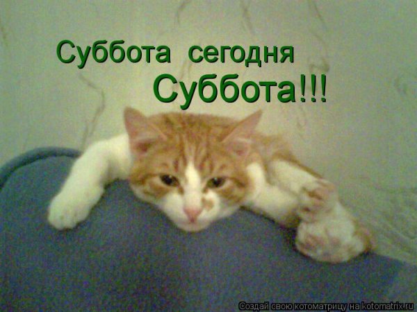Суббота выходной
