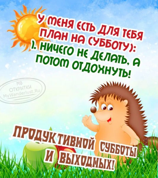 Ёжик и солнышко