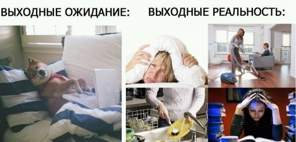 Планы на выходные ожидание и реальность
